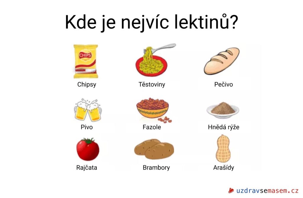Kde je nejvíc lektinů?