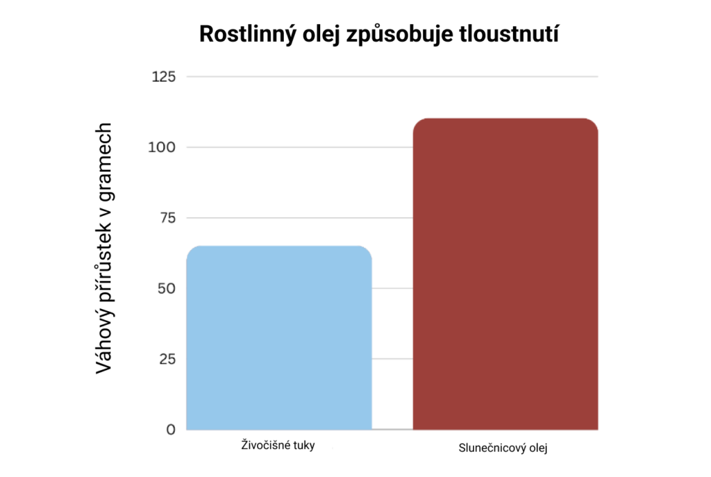Rostlinný olej způsobuje tloustnutí